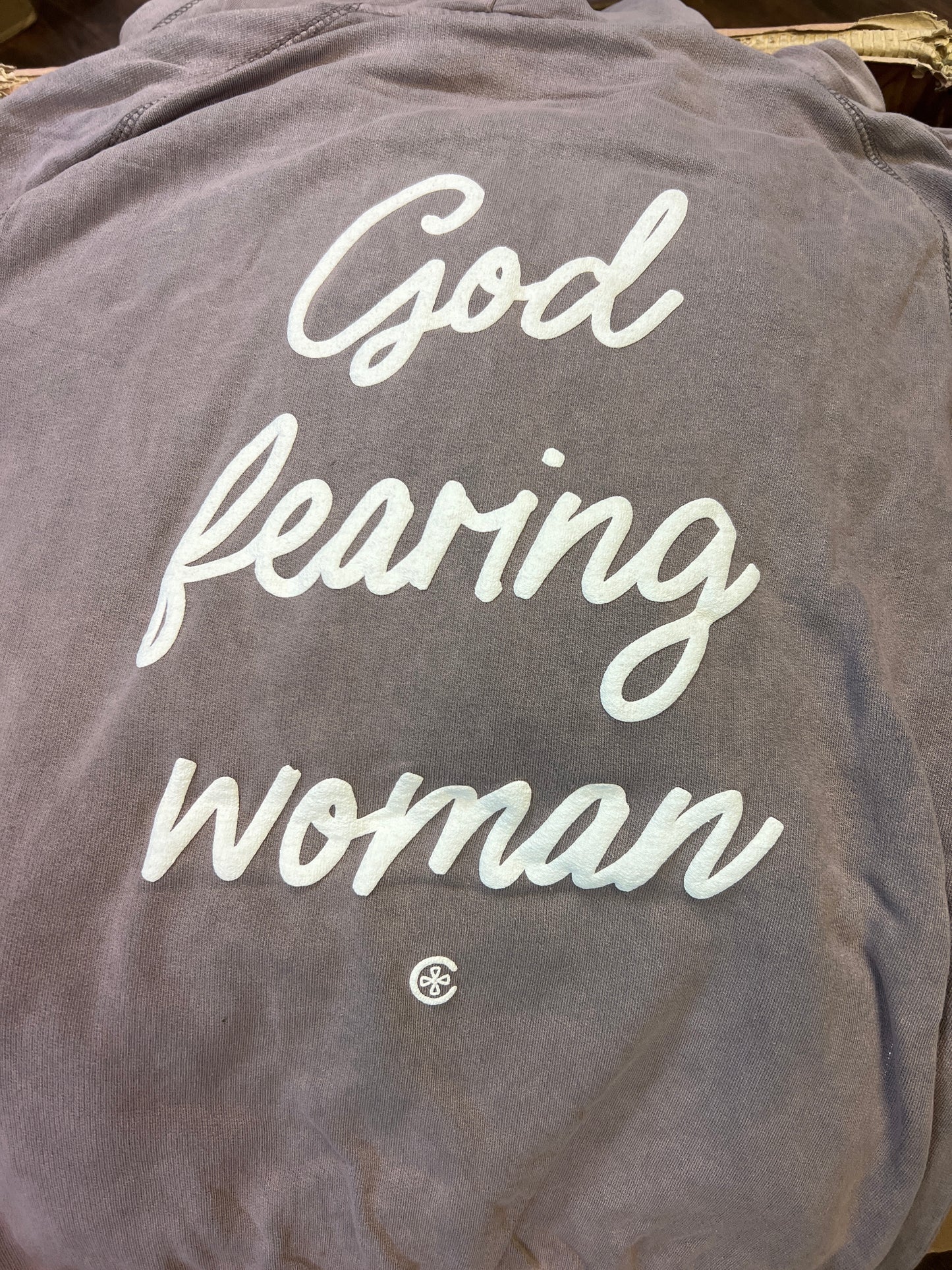 Proverbs 31:30  God fearing woman hoodie